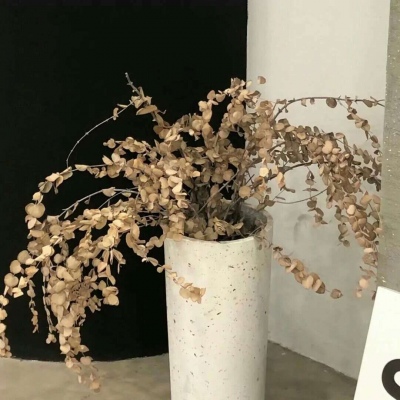 兽设黄昏场景设计兽圈群